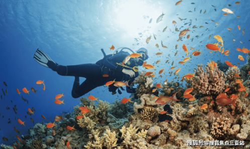 海棠·泰岳府 溫泉入戶，盡享康養度假雅居生活
